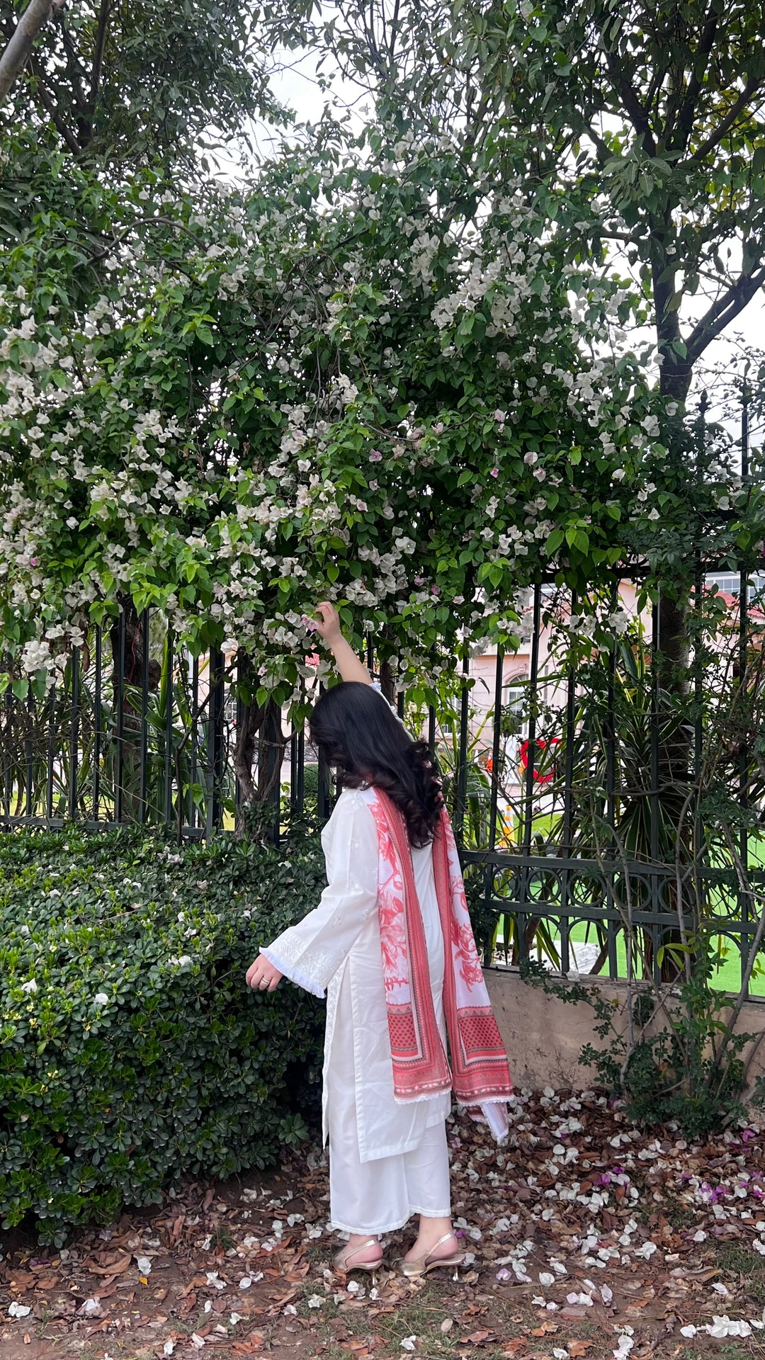Afreen - Best Selling 3PC Summer Outfit